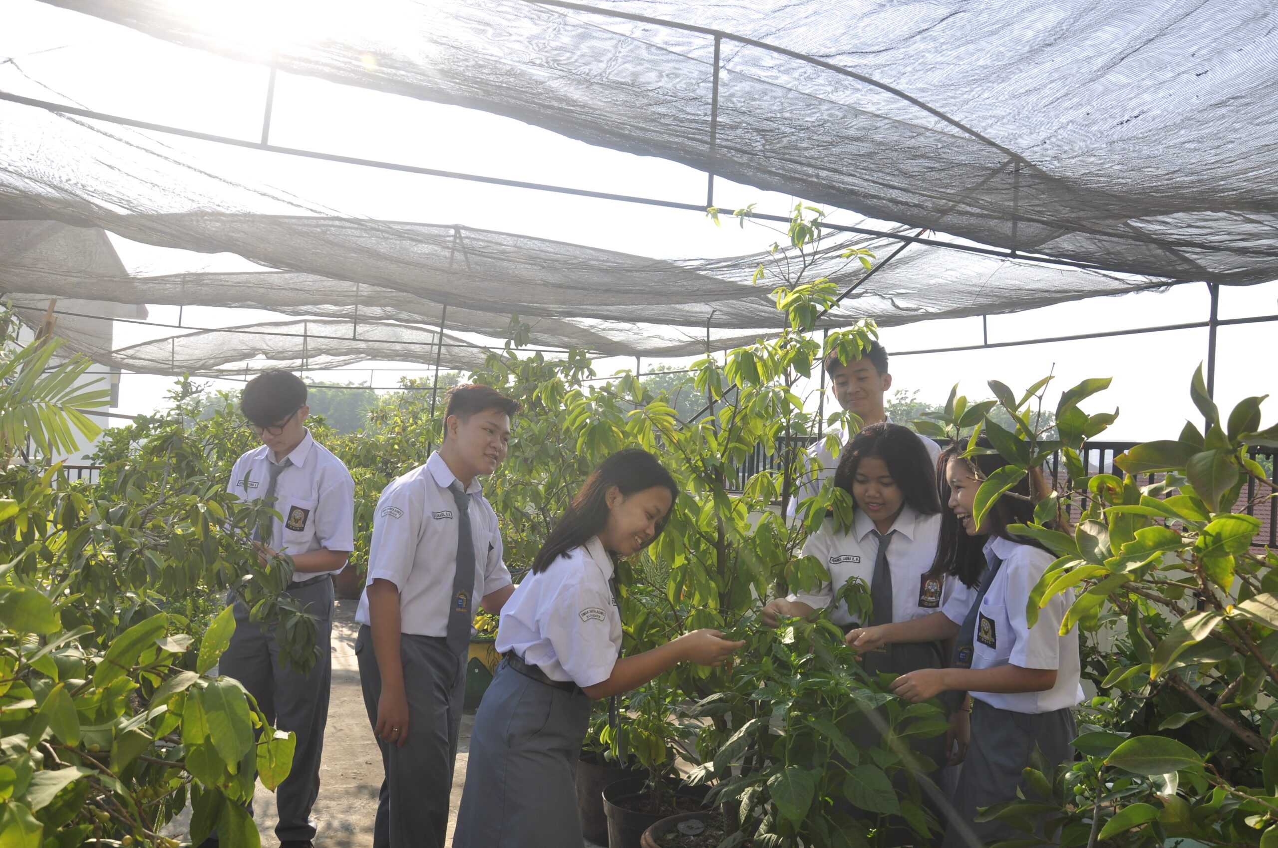 Green House