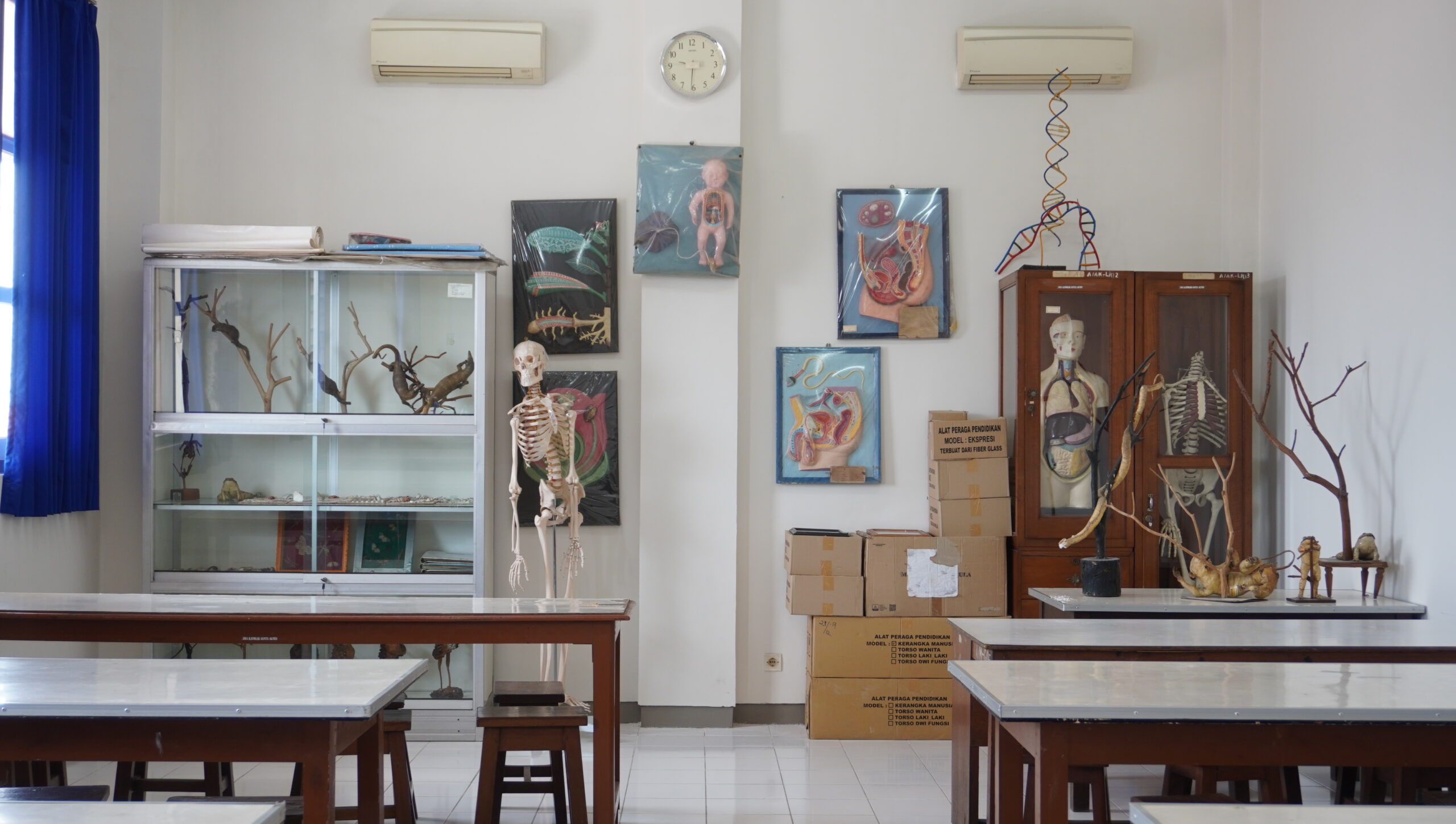 Lab Biologi